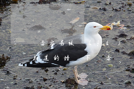販毒容易被發(fā)現(xiàn)嗎(不知道的情況下販毒)