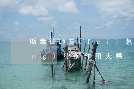 販毒律師費(fèi)怎么收(販毒請(qǐng)律師作用大嗎)