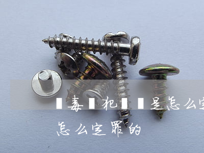 販毒從犯這個是怎么定罪的(販毒從犯這個是怎么定罪的)