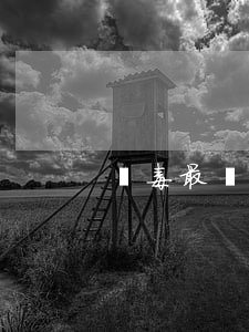 販毒最輕判多少年(販毒輕微要多久才判刑)