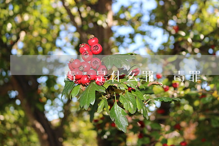 販毒會是什么罪(販毒罪為什么那么嚴重)