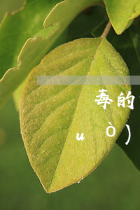 販毒的坐牢在里面會(huì)怎么過(guò)(販毒坐牢出來(lái)會(huì)改嗎)