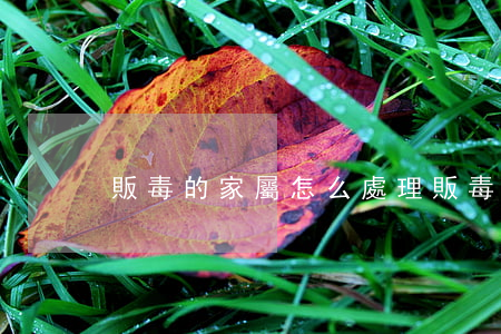 販毒的家屬怎么處理(販毒人員的家屬會怎樣)