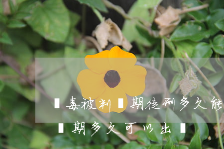 販毒被判無期徒刑多久能出來(因為販毒被判無期多久可以出來)