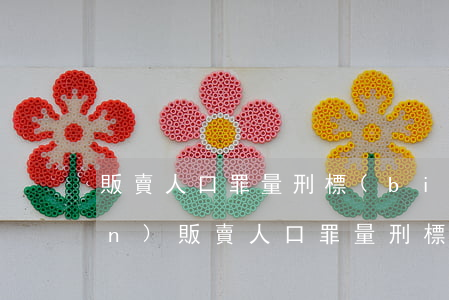 販賣人口罪量刑標(biāo)準(zhǔn)(販賣人口罪量刑標(biāo)準(zhǔn)2020)