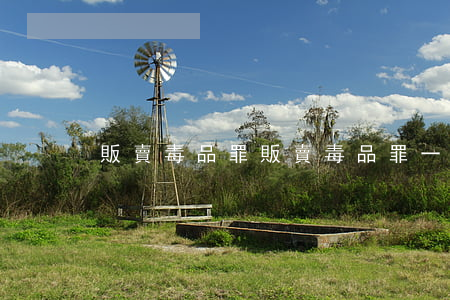 販賣毒品罪(販賣毒品罪一般判多少年)