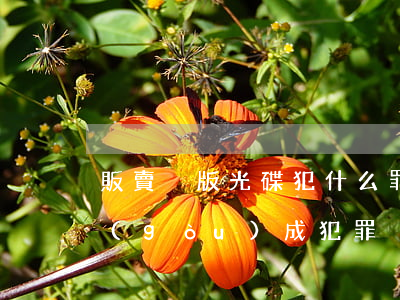 販賣盜版光碟犯什么罪,販賣多少盜版光碟構(gòu)成犯罪