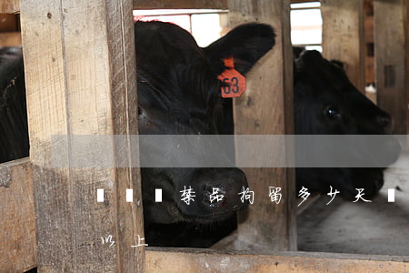 販賣違禁品拘留多少天(販賣毒品拘留多少日以上)
