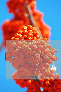 販賣高價(jià)口罩如何處罰