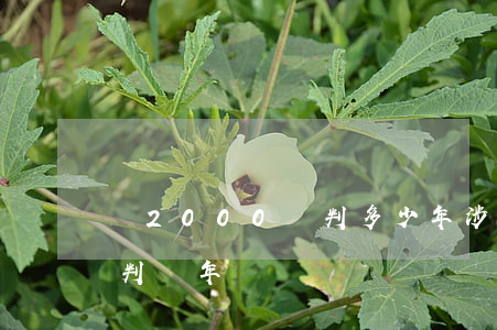 貪2000萬判多少年(涉案金額2000萬判幾年)