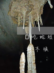 貪吃蛇短篇小說逾期不候 貪吃蛇短篇小說逾期不候