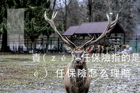 責(zé)任保險指的是什么（第三者責(zé)任保險怎么理賠）