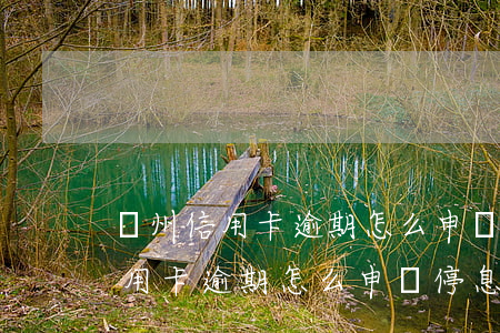 貴州信用卡逾期怎么申請停息掛賬-貴州信用卡逾期怎么申請停息掛賬的
