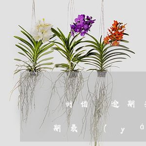 貴州借唄逾期多久會(huì)起訴(借唄逾期最嚴(yán)重的結(jié)果)