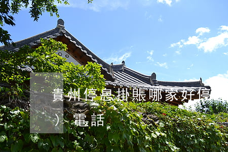 貴州停息掛賬哪家好(停息掛賬打哪個(gè)電話)