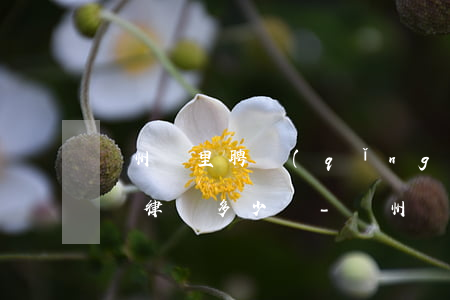 貴州凱里聘請(qǐng)債務(wù)糾紛律師多少錢-貴州凱里聘請(qǐng)債務(wù)糾紛律師多少錢啊