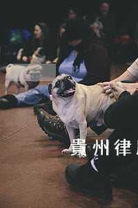 貴州律所規(guī)模排行名錄