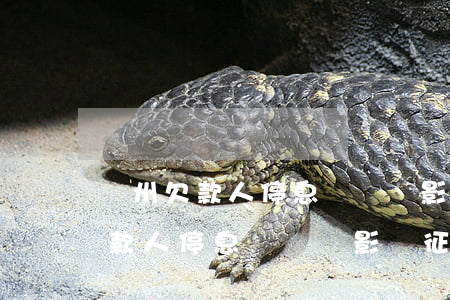 貴州欠款人停息掛賬會影響征信嗎-貴州欠款人停息掛賬會影響征信嗎知乎