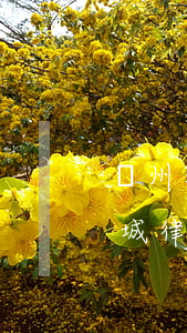 貴州水城律師聯(lián)系方式(貴州水城律師聯(lián)系方式)