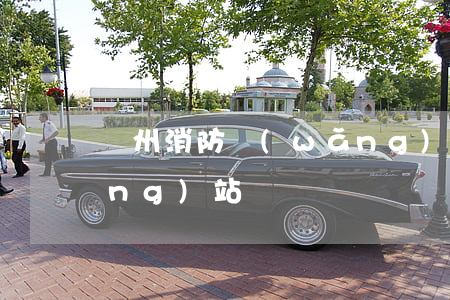 貴州消防網(wǎng)(貴州消防網(wǎng)站)