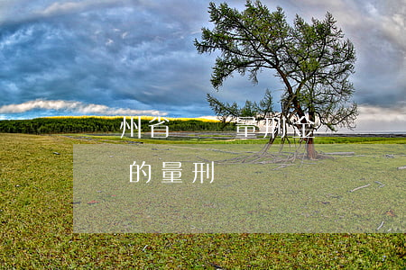 貴州省盜竊量刑金額標準是多少(盜竊案件金額的量刑標準)