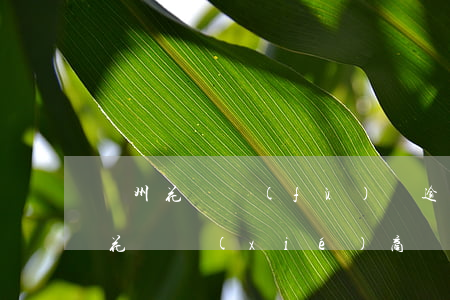 貴州花唄負(fù)債逾期協(xié)商(花唄協(xié)商還款終于成功了)