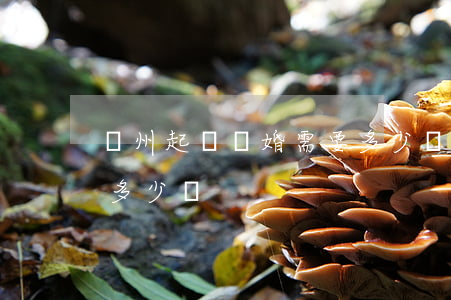 貴州起訴離婚需要多少錢(貴州起訴離婚需要多少錢)
