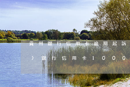 貴州銀行信用卡逾期起訴(欠貴陽(yáng)銀行信用卡10000被電話告知起訴)