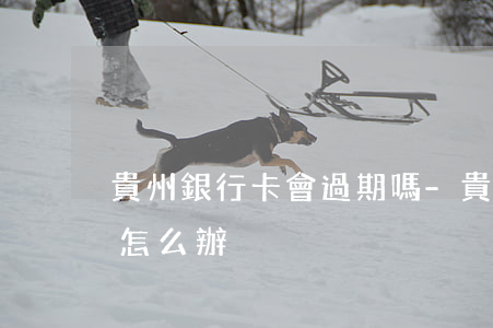 貴州銀行卡會過期嗎-貴州銀行卡會過期嗎怎么辦