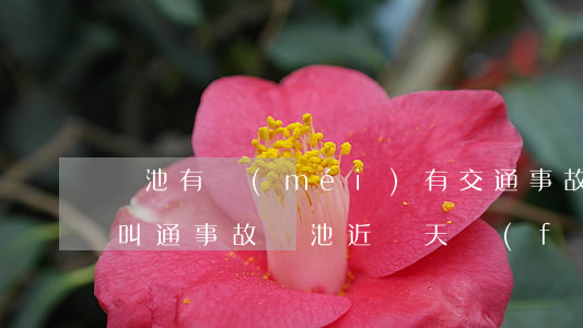 貴池有沒(méi)有交通事故發(fā)叫通事故(貴池近幾天發(fā)生的車禍)