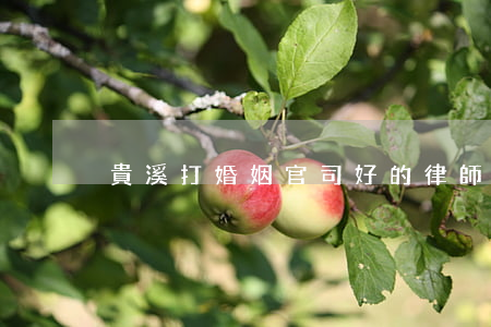 貴溪打婚姻官司好的律師(貴州哪個律師好)