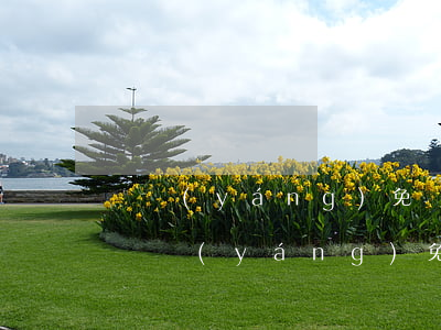 貴陽(yáng)免費(fèi)法律援助(貴陽(yáng)免費(fèi)法律援助地址在哪里)