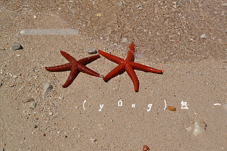 貴陽(yáng)包車一天多少