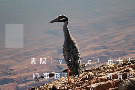 貴陽(yáng)市十大優(yōu)秀律師事務(wù)所(貴陽(yáng)最好的律師是誰(shuí))