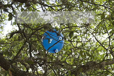 貴陽(yáng)市律師收費(fèi)標(biāo)準(zhǔn)(貴陽(yáng)市律師服務(wù)收費(fèi)平均價(jià)格)
