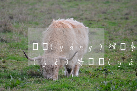 貴陽(yáng)律師事務(wù)所哪個(gè)好(貴陽(yáng)哪家律師事務(wù)所比較好)