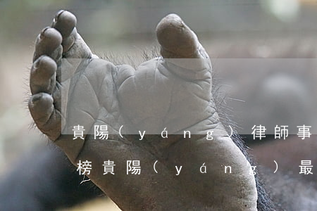 貴陽(yáng)律師事務(wù)所排名榜(貴陽(yáng)最大的律師所有哪幾個(gè))