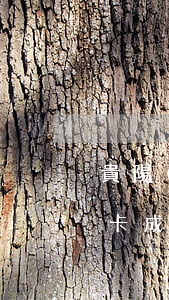 貴陽(yáng)欠信用卡上黑名單 欠信用卡成黑戶