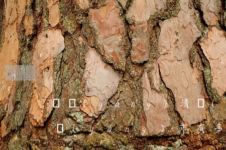 貴陽(yáng)清鎮(zhèn)市離貴陽(yáng)市有多少公里(清鎮(zhèn)離貴陽(yáng)市區(qū)有多遠(yuǎn))