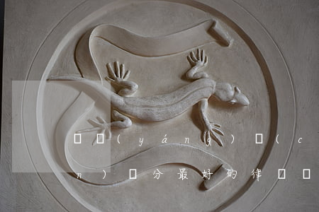 貴陽(yáng)財(cái)產(chǎn)糾分最好的律師(貴陽(yáng)市最有名的離婚律師)