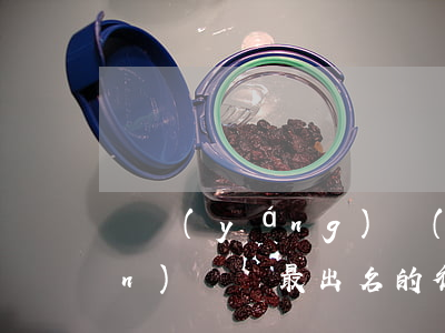 貴陽(yáng)財(cái)產(chǎn)糾紛最出名的律師(貴陽(yáng)著名律師名單)