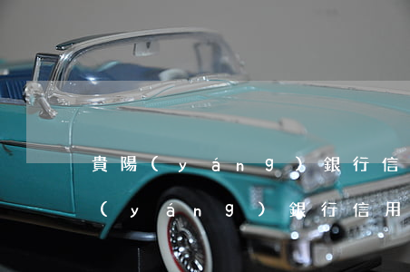 貴陽(yáng)銀行信用卡逾期一年(貴陽(yáng)銀行信用卡過(guò)期了怎么辦)