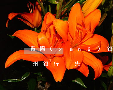 貴陽(yáng)銀行信用卡逾期被掛失(貴州銀行掛失)