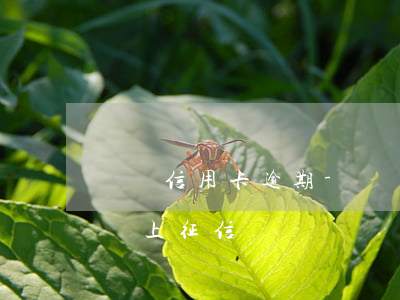 貴陽信用卡逾期-貴陽信用卡逾期一天會不會上征信