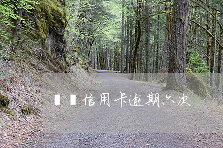 貴陽信用卡逾期六次