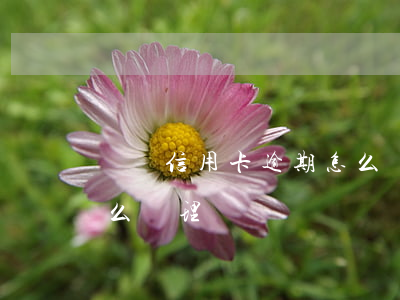 貴陽信用卡逾期怎么處理(貴陽信用卡逾期怎么處理)