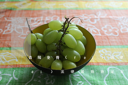 貴陽免費(fèi)法律援助(貴陽免費(fèi)法律援助地址在哪里)