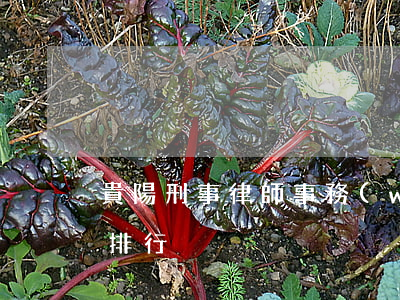 貴陽刑事律師事務(wù)所排名(貴陽律師排行)