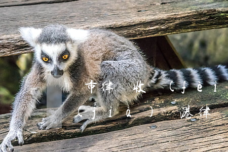 貴陽市律師收費(fèi)指導(dǎo)價(jià)(貴港律師收費(fèi)標(biāo)準(zhǔn))