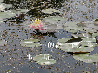 貴陽市的高級律師事務所(貴陽市的高級律師事務所)